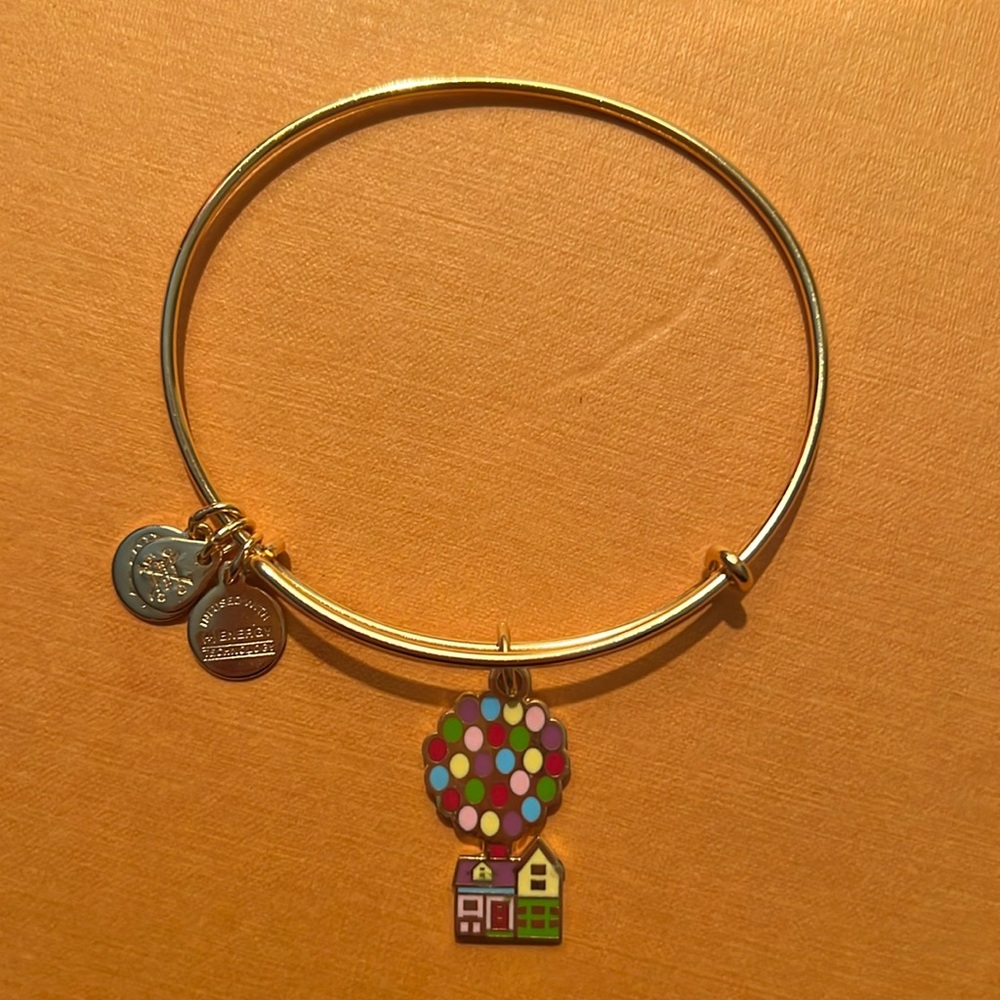 Disney Up Alex and Ani